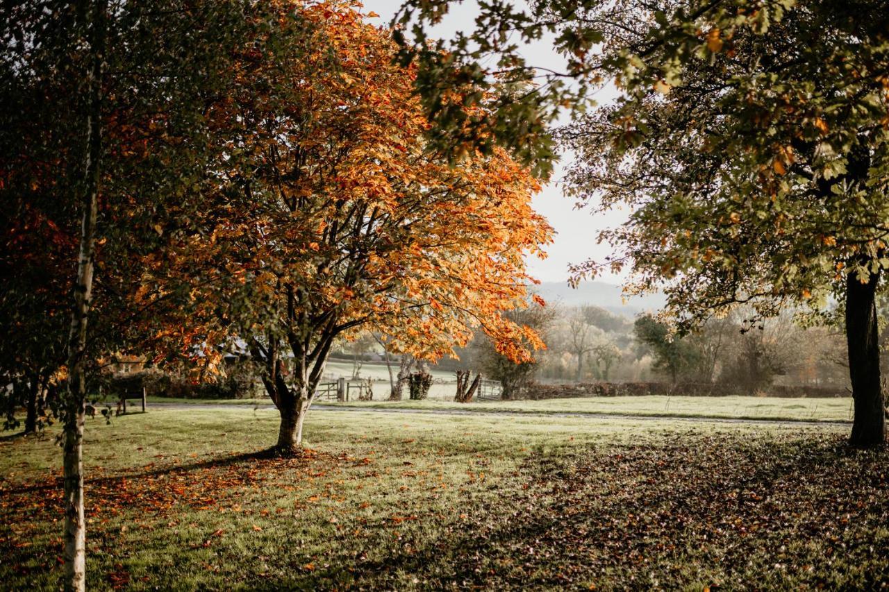 Caplor Glamping & Lodges Hereford Eksteriør bilde
